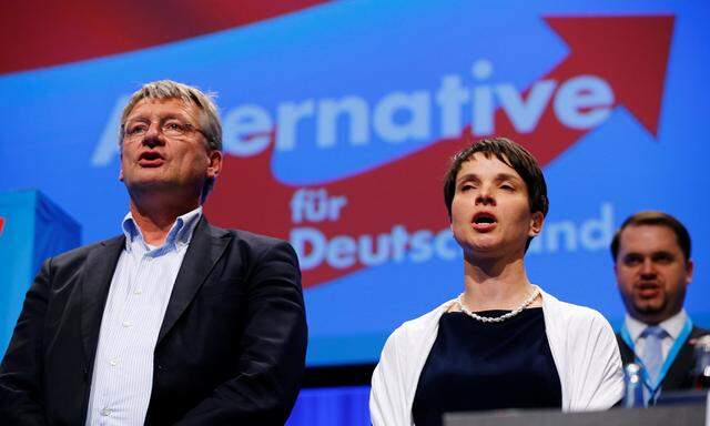 Petry, chairwoman of the anti-immigration party Alternative for Germany (AfD), and AfD leader Meuthen sing at the end of the second day of the AfD congress in Stuttgart