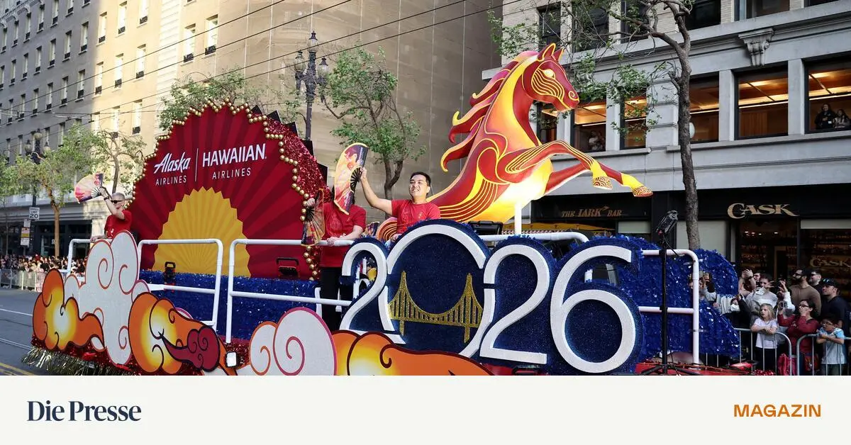 Zwischen-Qi-Balance-Warmwasser-und-Zyklus-TCM-Die-Jungen-setzen-auf-Chinamaxxing-premium-