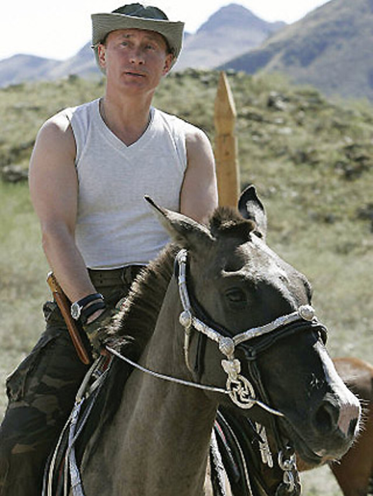 Auch über einen Wechsel Putins in die Wirtschaft wurde spekuliert. Nahe läge da etwa ein Posten an der Spitze der Gazprom. Der Gasmonopolist ist aufgrund der Abhängigkeit vieler Länder von russischen Rohstoffen sehr mächtig. Und dass Geschäfte mit Rohstoffen Beziehungen zwischen Staaten auch beeinflussen können, hat etwa der russisch-ukrainische Gasstreit 2006 eindrucksvoll vor Augen geführt