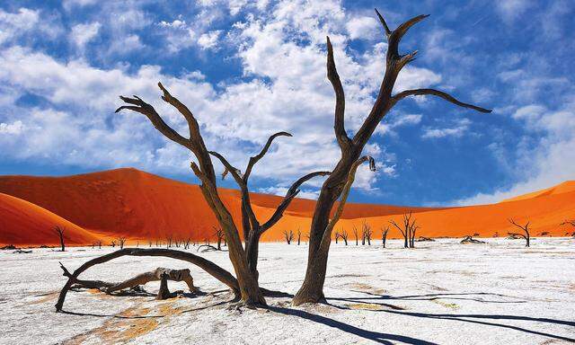 Das Deadvlei im Namib-Naukluft-Nationalpark ist einer der faszinierendsten Orte in Namibia. Der Friedhof der Bäume ist fast 1000 Jahre alt.