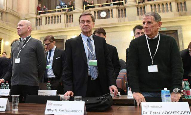 Die Angeklagten (v.l.) Ex-Immofinanz-Vorstand Christian Thornton, Karl Petrikovics und Peter Hochegger
