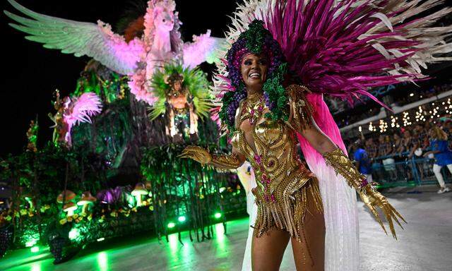 Im Sambadrome in Rio wird mit wenig Bekleidung getanzt. Experten rufen die Karnevalsbesucher dazu auf, sich durch lange Kleidung vor Mückenstichen zu schützen. 