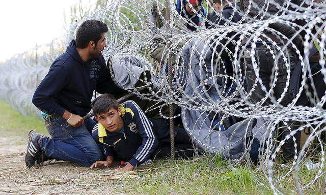 Syrische Migranten klettern unter dem Zaun an der serbisch-ungarischen Grenze hindurch.