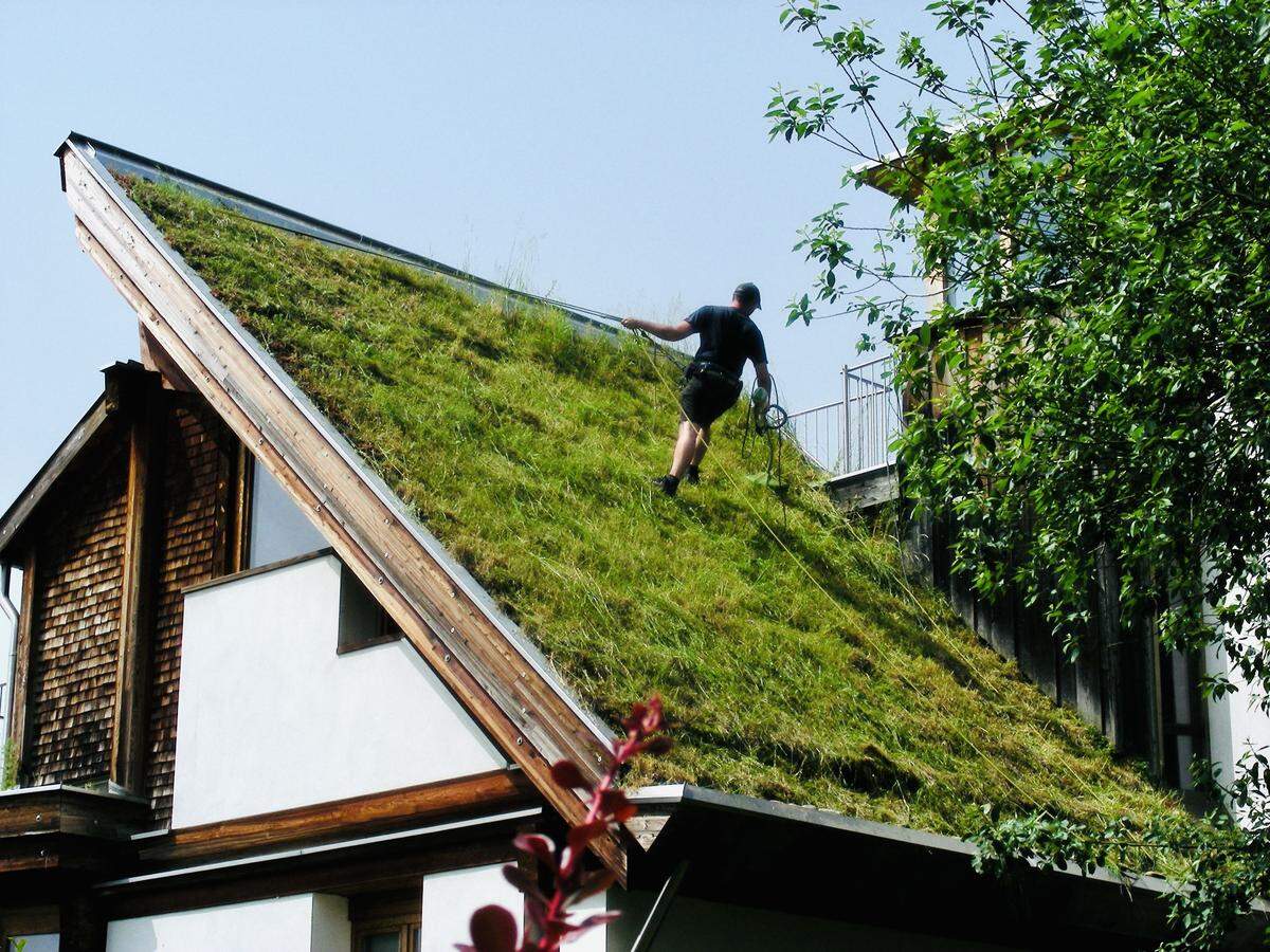>>> Mehr "Presse"-Artikel: - "Dachbegrünung: Gräser, Bienen und Blumen" - "Das Leiner-Haus bekommt ein grünes Dach" > > > Mehr zum Aktionstag unter: worldgreenroofday.com/