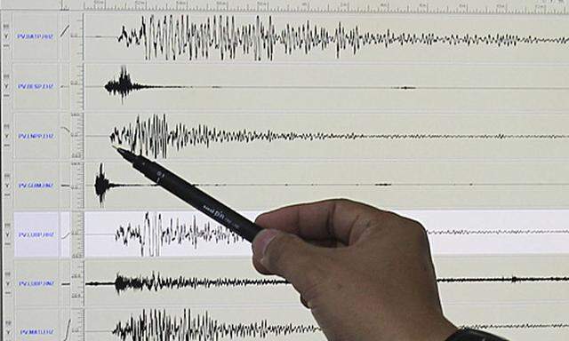 Symbolbild Seismograph