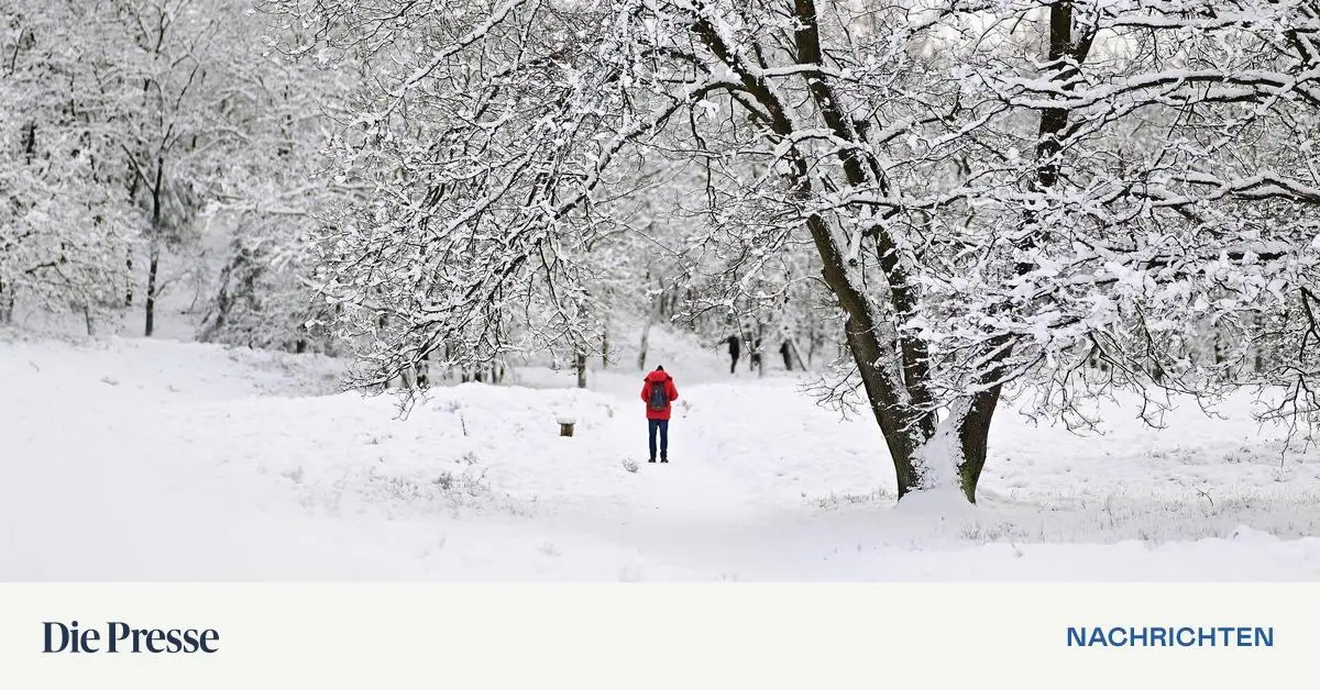 Langes-Single-Dasein-macht-Studie-zufolge-ungl-cklich