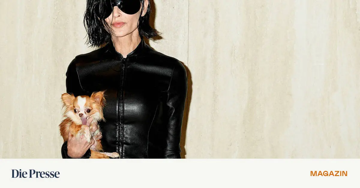 Stilkolumne-Von-Frontrow-Hunden-und-Underdogs-premium-