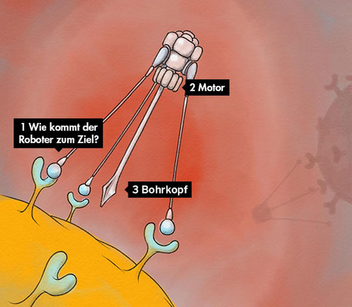 Nanoroboter aus DNA