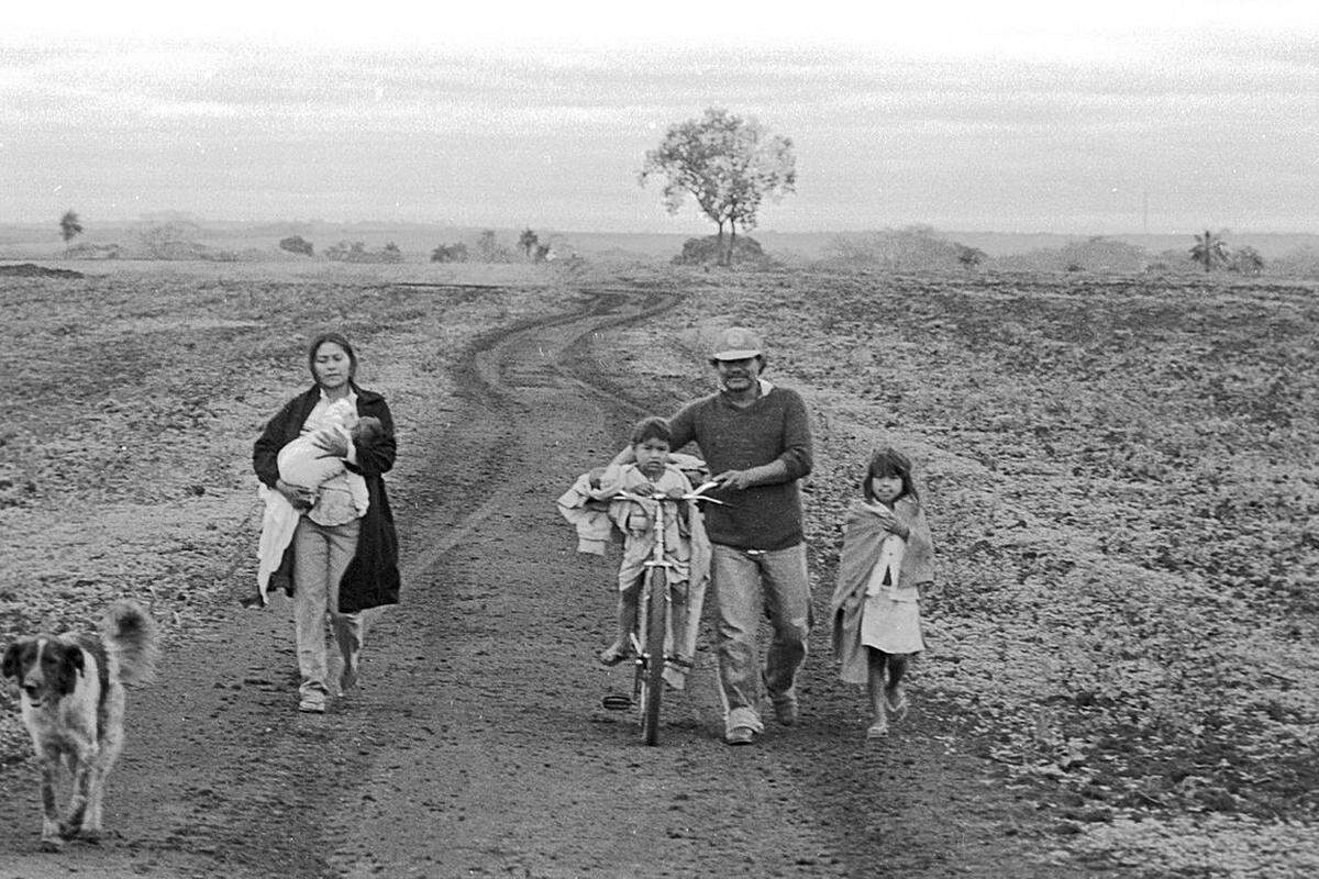 Ein Guarani-Vater begleitet seine Familie durch endlose Zuckerrohplantagen, die heute die Heimat seines Volkes überziehen. Für die Guarani in Brasilien ist Land die Quelle allen Lebens.