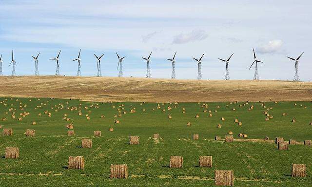 Themenbild Windenergie