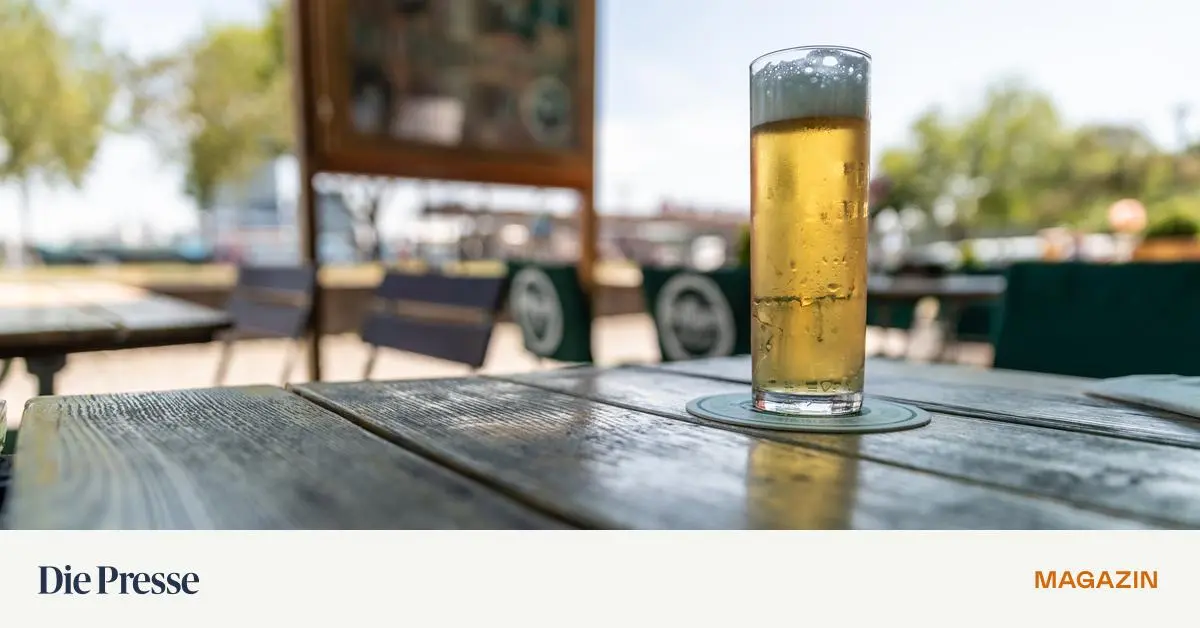 Einkehren-in-K-ln-Die-Stange-K-lsch-steht-gleich-am-Tisch-premium-