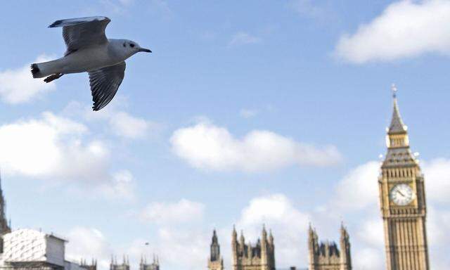 Viele Firmen wollen Großbritannien verlassen