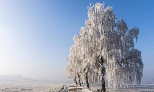 Winterlandschaft 