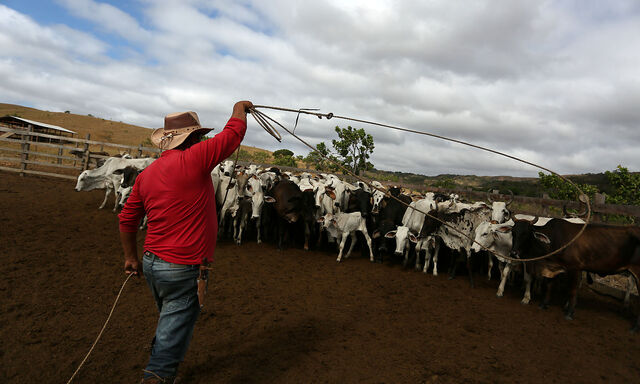 The Wider Image: Brazil tribal lands under new threat from farmers, miners
