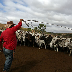 The Wider Image: Brazil tribal lands under new threat from farmers, miners