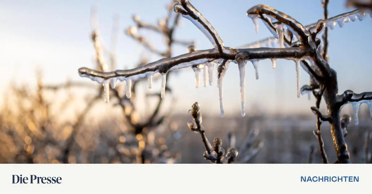 Nach-dem-Fr-hlingsstart-kehrt-der-Frost-in-sterreich-zur-ck