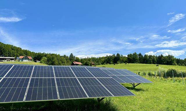 Diesen Sommer wurde im steirischen Gleinz ein Solarpark für den Industriepartner Lenzing in Betrieb genommen. Der Fokus liegt auf sauberer Energie und nachhaltiger Biodiversität.