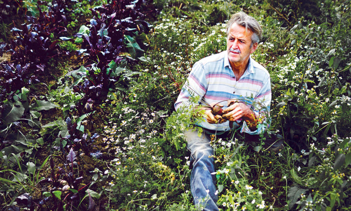 Vorreiter. Johann Reisinger ist ein Protagonist von Leaf-to-Root.