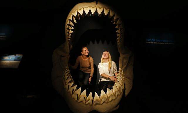 Zwei Frauen in einem Megalodon-Gebiss bei einer Ausstellung in St. Petersburg im Jahr 2013.