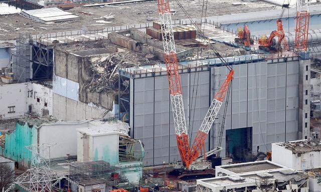 Aufräumarbeiten in Fukushima werden Jahrzehnte dauern