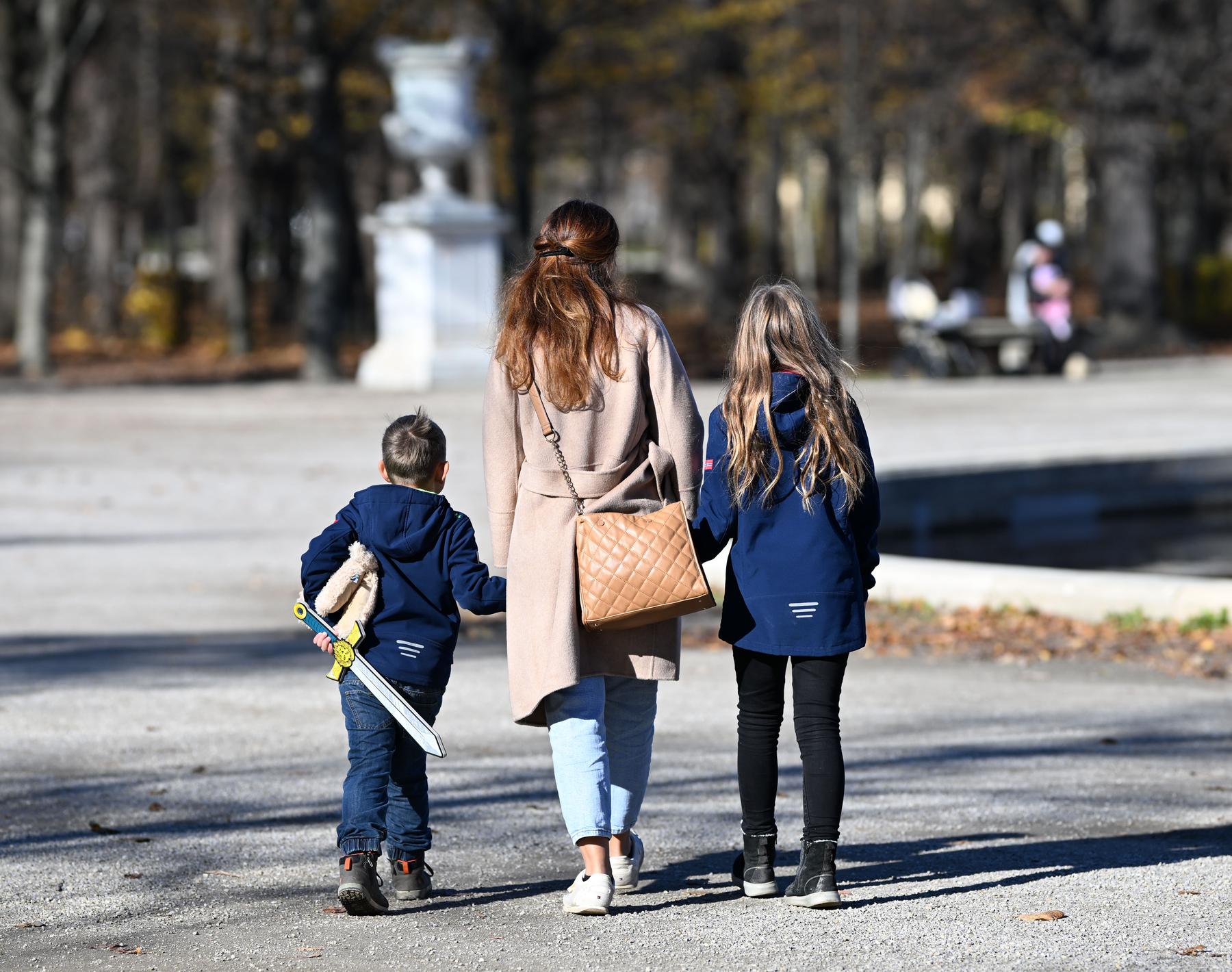 Wenige Geburten, mehr Tote: Österreichs Bevölkerung schrumpft ab 2040 [premium]
