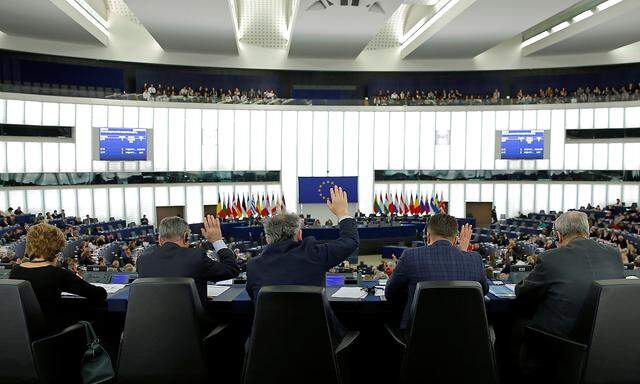 EU-Abgeordnete erhalten monatlich eine Pauschale, für die sie keine Belege benötigen.