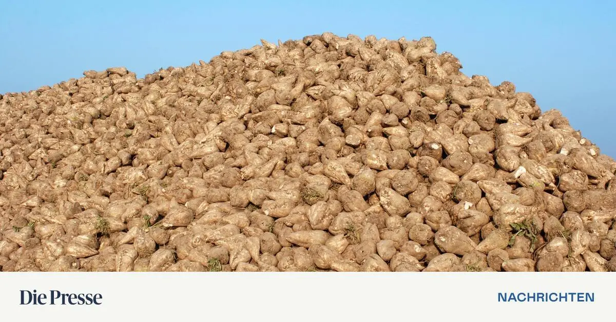 Preisverfall-und-Konsumtrends-bringen-Zuckermarkt-unter-Druck