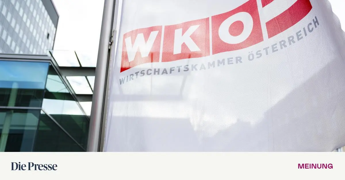 WKO-Das-versteht-kein-Wirt-kein-Einzelh-ndler-kein-Installateur-