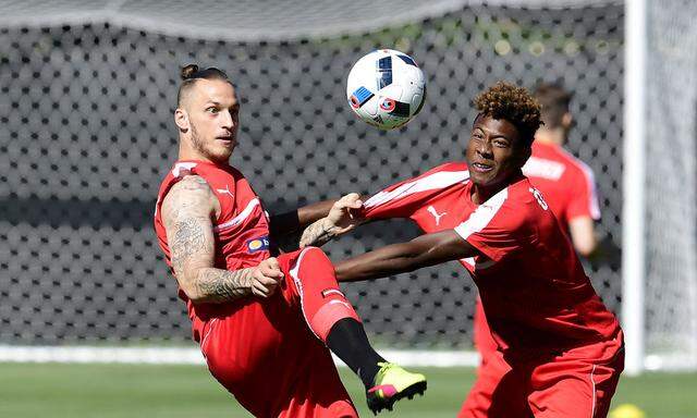 FBL-EURO-2016-AUT-TRAINING