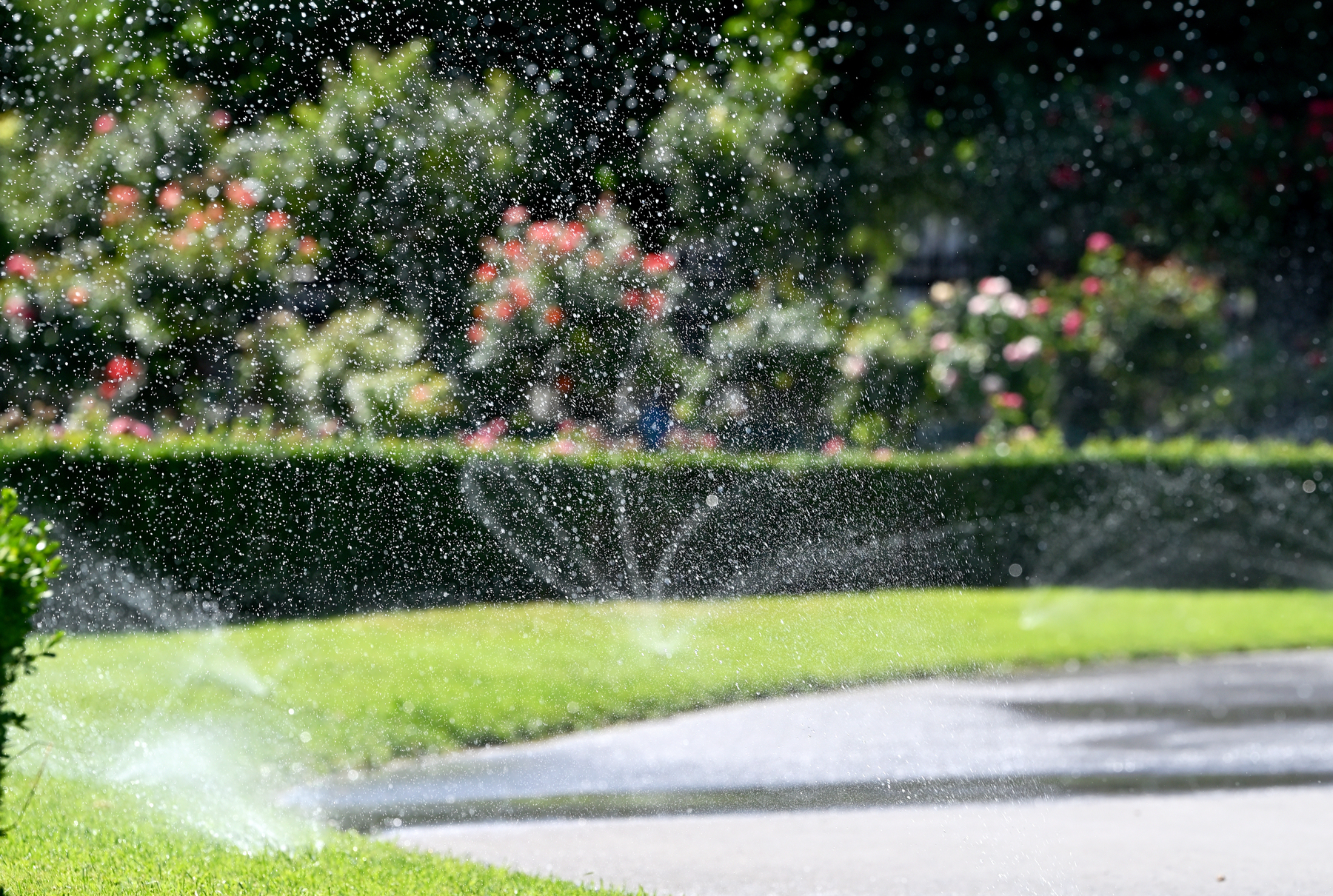 Vienna water use up by a third amid heatwave