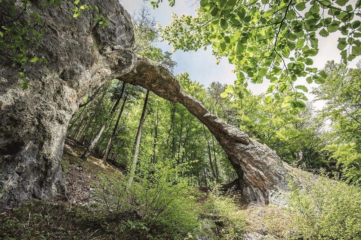 Vom früheren Bahnhof Eberstein im Görschitztal führt – an einem mittelalterlichen Galgen vorbei – ein beschilderter Wanderweg zum Felsentor. Wie der 16 Meter breite und 11 Meter hohe Gesteinsbogen entstand, ist noch heute ein Mysterium.