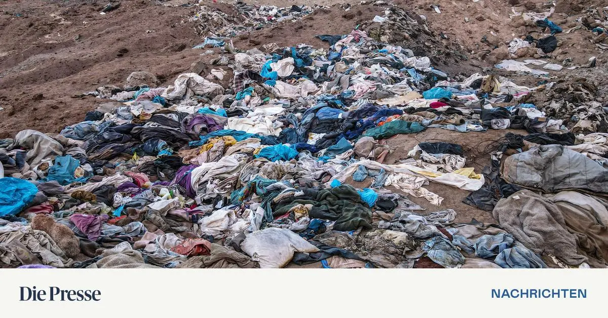 Expertin-Textilrecycling-erreicht-Wendepunkt-premium-