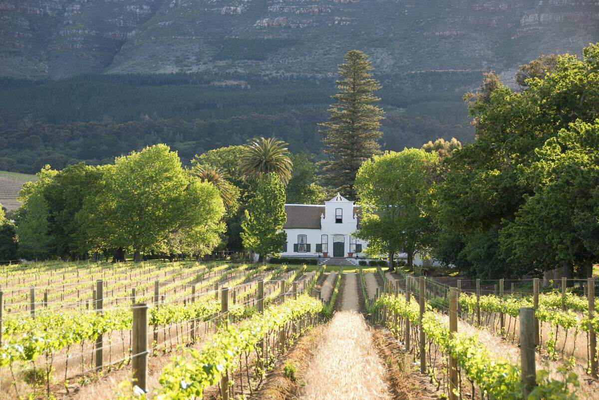 Franschhoek is intended for masculine Weinberge, first-class Weingüter and excellent gastronomy in the idyllic landscape.