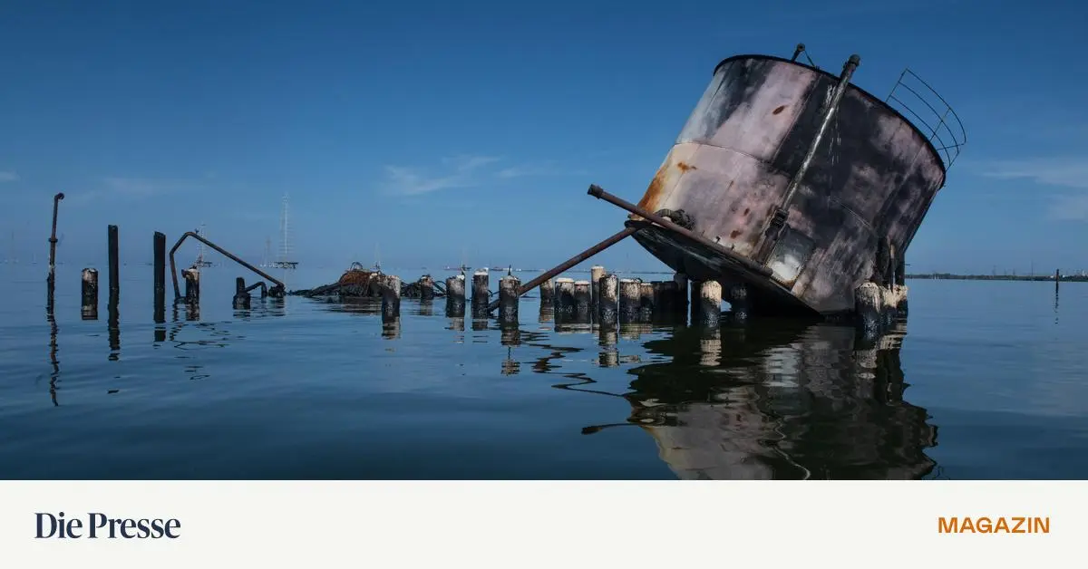 donald-trump-greift-nach-venezuelas-lschatz-premium