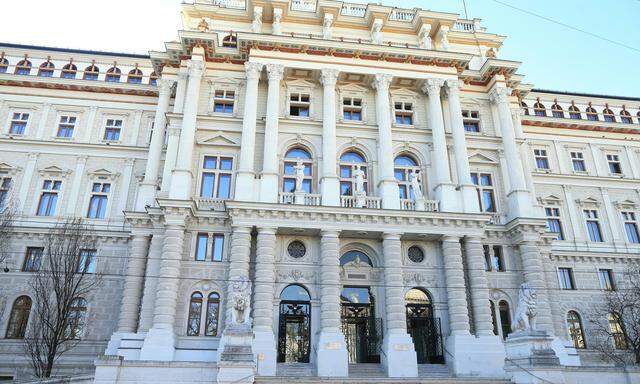 Das Oberlandesgericht Wien entschied, dass eine Untersuchungshaft aufgrund umfassender Weisungen nicht mehr nötig sei.