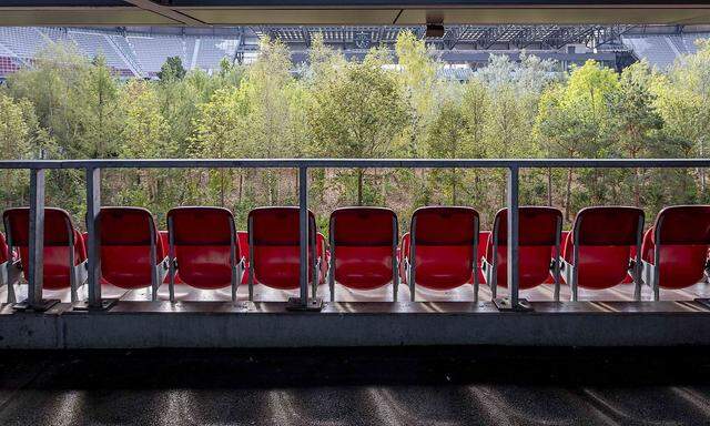 Aus der ursprünglichen Zeichnung einer bedrohlichen Natur von Max Peintner wurde ein Mahnmal für die bedrohte Natur. Im Fußballstadion.