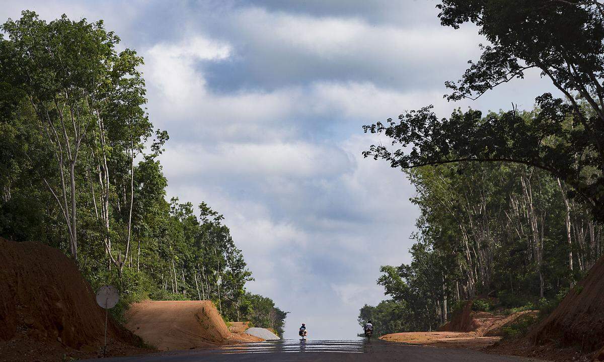 Die Straßen wachsen quer durch den tropischen Wald, auch hier in Sierra Leone. Bald wird Westafrika auf einem Asphaltband zu durchkreuzen sein, das nicht mehr abrupt in Erd- und Sandpisten übergeht.