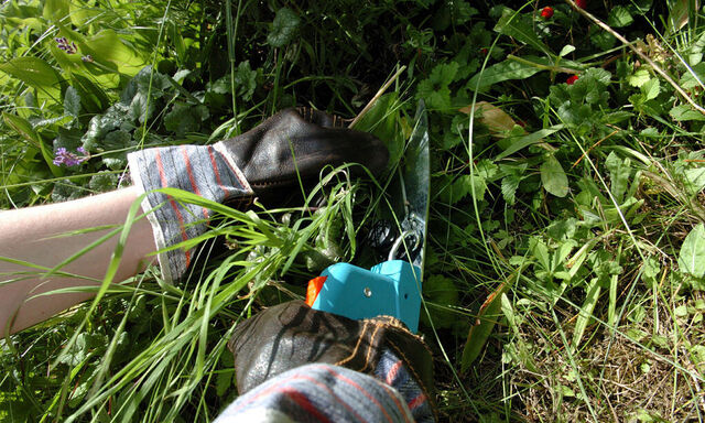 Symbolbild Gartenarbeit