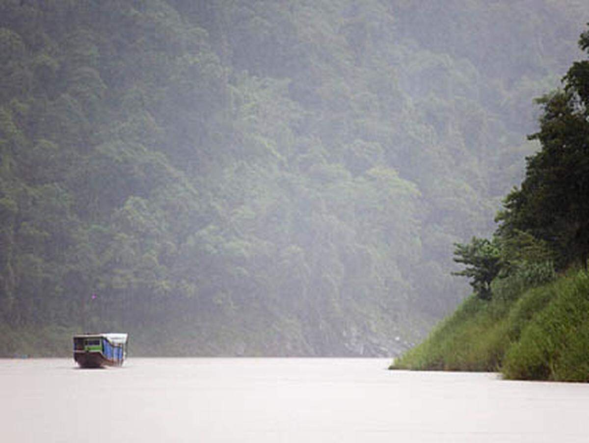 Forscher haben entlang des mächtigen Mekong- Flusses in Südostasien im vergangenen Jahr 163 neue Orchideen, Bananen, Palmen, Schlangen, Frösche und Fische entdeckt. Die Umweltstiftung WWF warnt, dass der Lebensraum akut bedroht sei: Nur noch fünf Prozent der Landschaft seien intakt, und der Klimawandel beschleunige die Gefahren.
