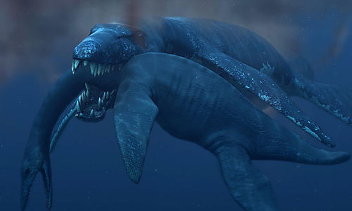 45 Tonnen schwer: Größter Meeres-Saurier entdeckt | DiePresse.com