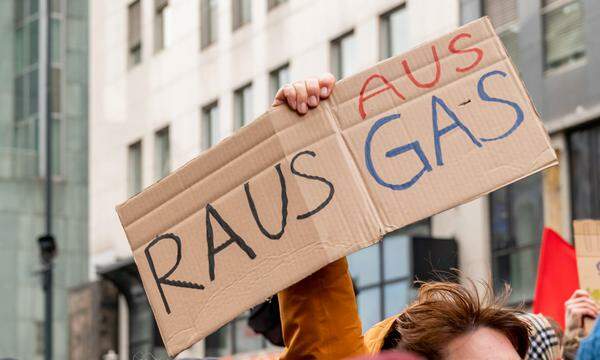 Im März des Vorjahres versammelten sich mehr als 100 Menschen, um gegen die Gaskonferenz in Wien zu demonstrieren. Das Vorgehen der Polizei sorgte für Kritik.