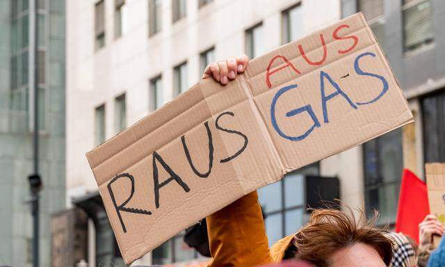 Im März des Vorjahres versammelten sich mehr als 100 Menschen, um gegen die Gaskonferenz in Wien zu demonstrieren. Das Vorgehen der Polizei sorgte für Kritik.