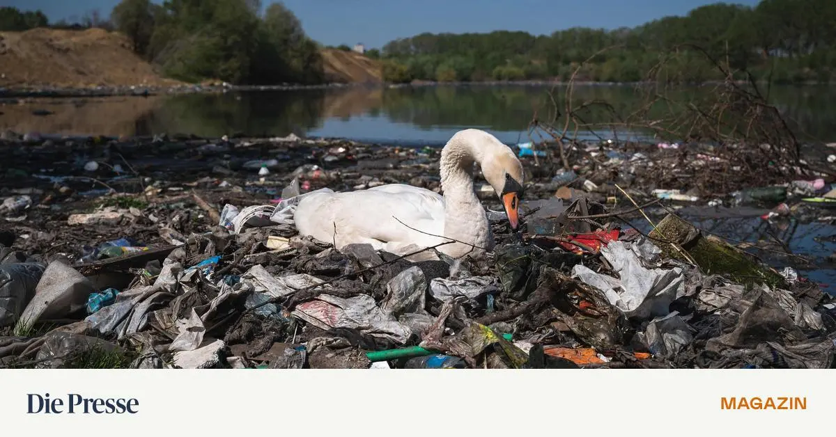 wie-viel-plastik-schwimmt-in-den-fl-ssen-premium