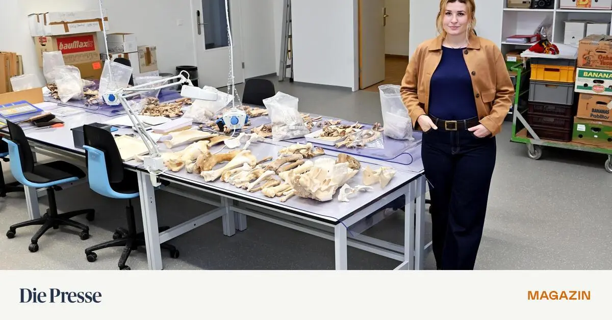 Die-alten-R-mer-und-ihr-Fleisch-premium-