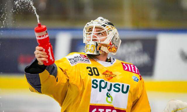 Vienna Capitals - Figure 1