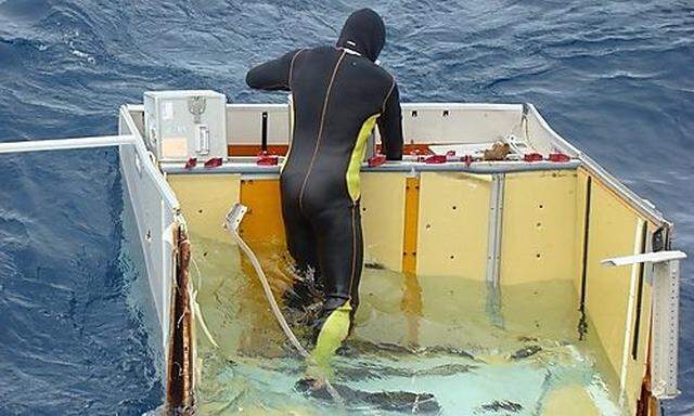 Brazilian Navy diver checks a piece of debris from Air France flight AF447 out of the Atlantic Ocean