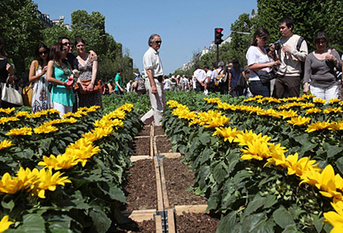 Die Pariser Champs-Elysees hat sich über das Pfingstwochenende in einen riesigen Garten verwandelt.