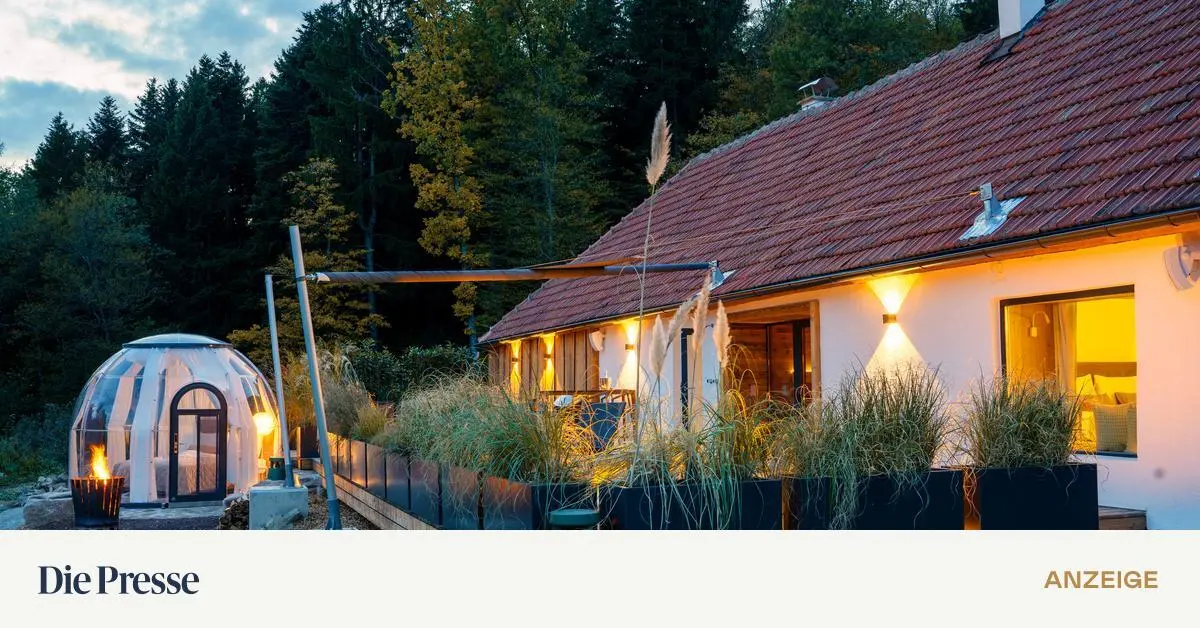 Ausnahmeerscheinungen-Ausnahmslos-Die-Selected-Stays-in-Nieder-sterreich-