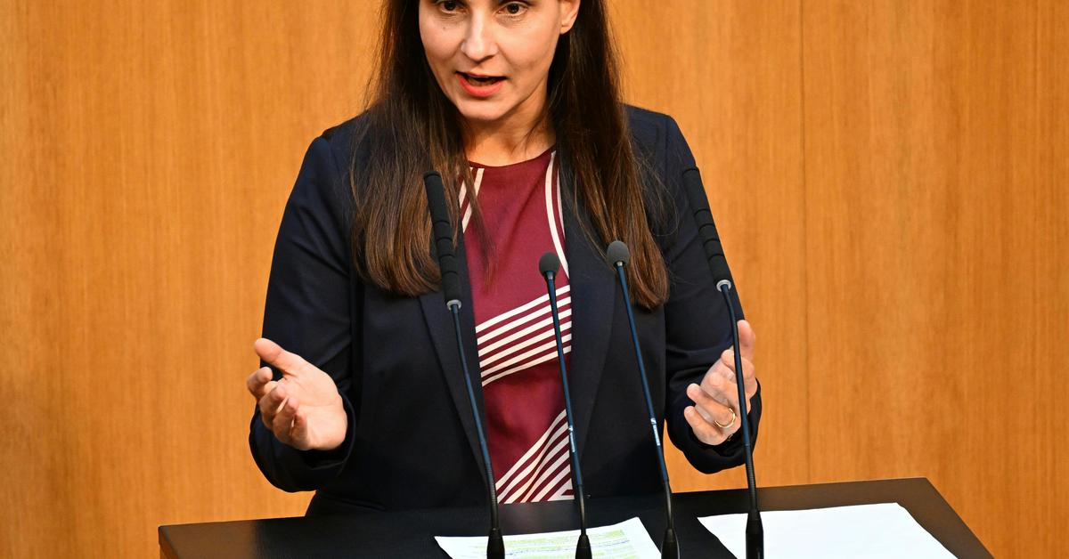 Gr-ne-finden-Medienberichte-ber-T-ter-fahrl-ssig-und-gef-hrlich-premium-