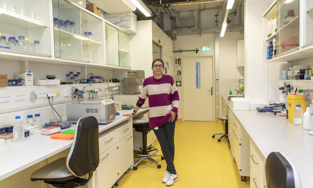 Ioanna Plastira erforscht die Immunzellen des Gehirns und ihren Einfluss auf Erkrankungen wie Alzheimer oder Parkinson.